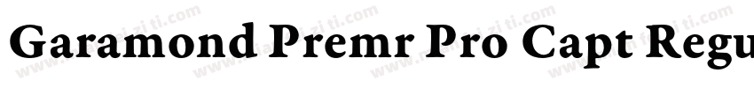 Garamond Premr Pro Capt Regular字体转换